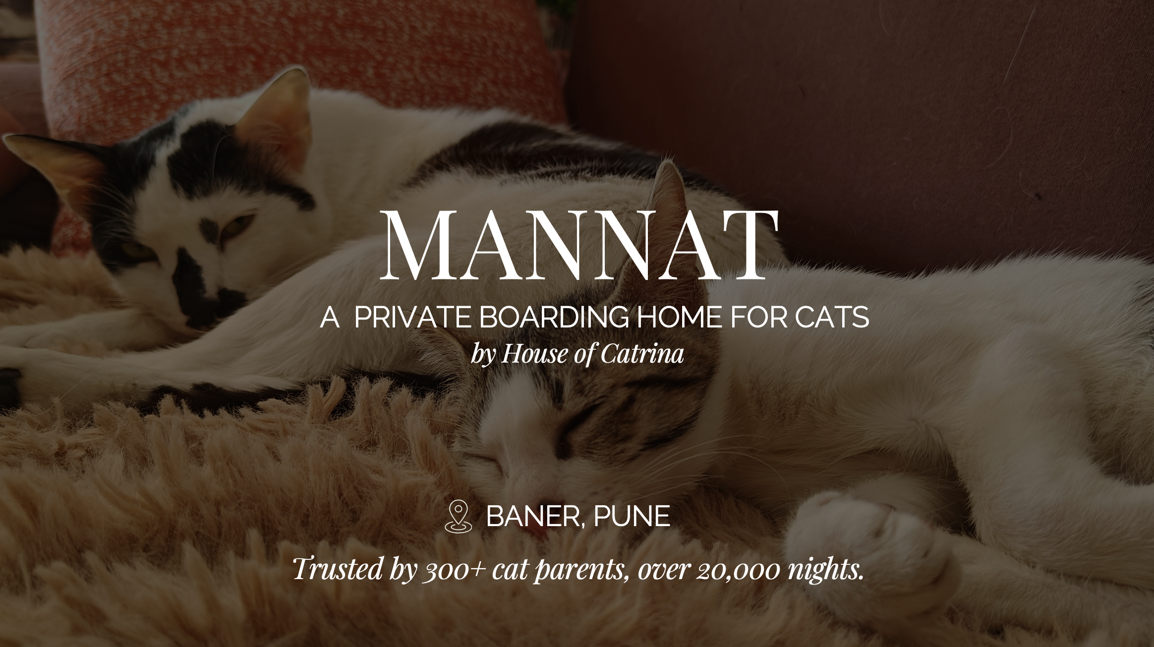 Mannat — A Private Boarding Home for Cats by House of Catrina, Baner Pune